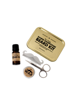 Load Image Into Gallery Viewer, Damn Handsome Beard Kit
